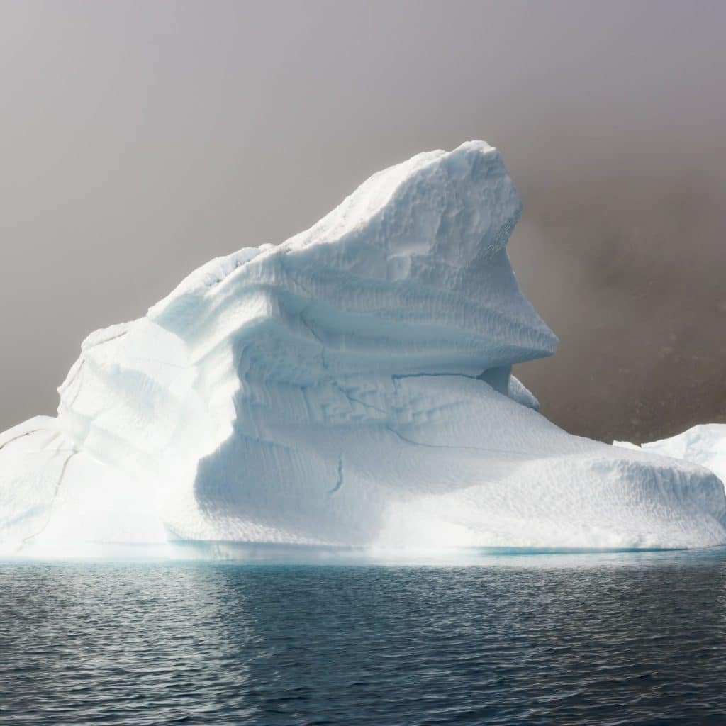 Image representing the impacts of climate change